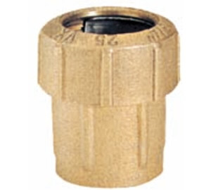 Racor hembra con bridas